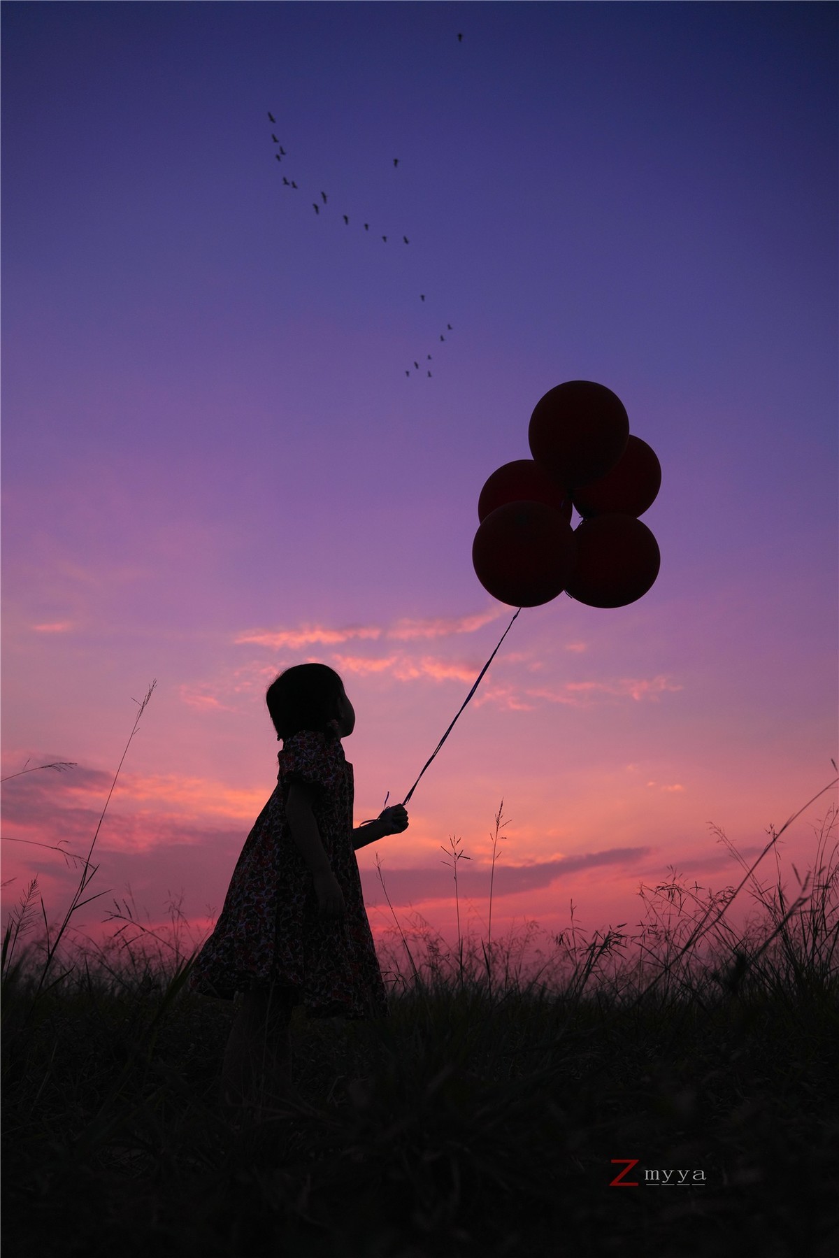 彩云伴我心飞翔！