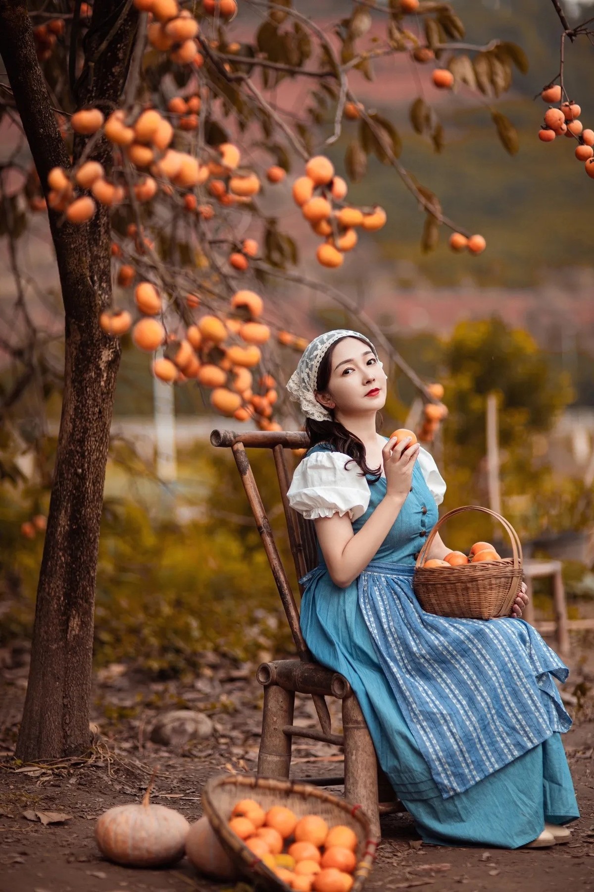 年年岁岁.柿柿红