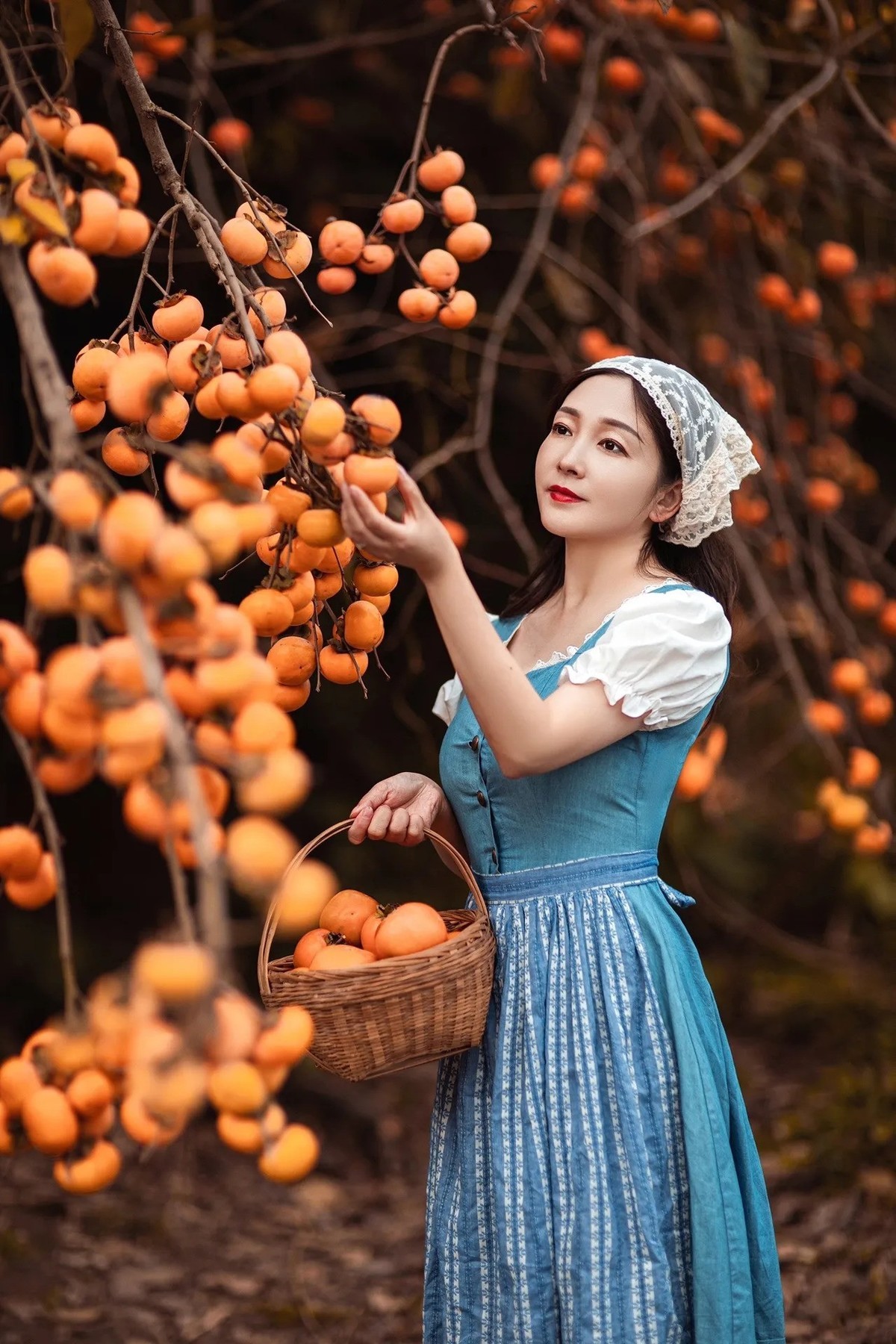 年年岁岁.柿柿红