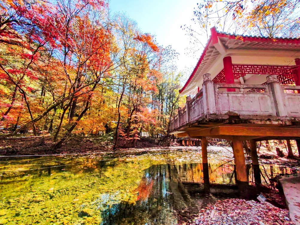 外出随拍（续196）.