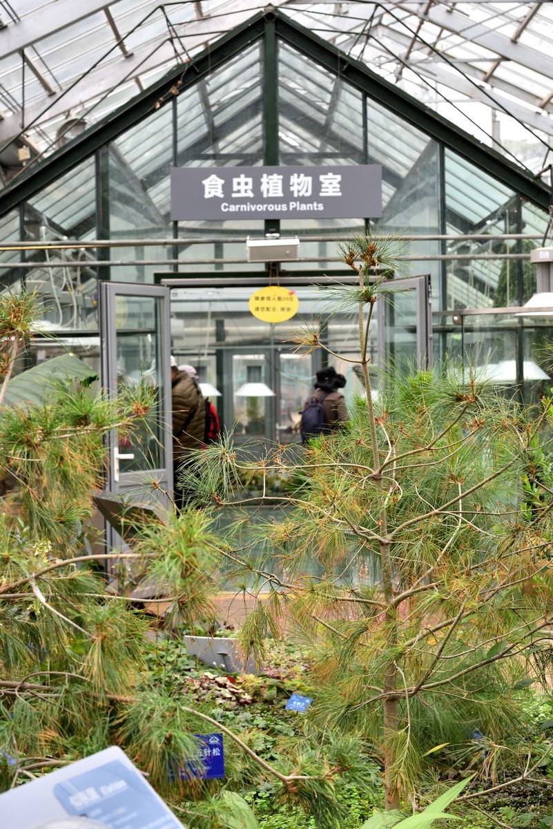 北京植物园南区温室看花     1/3