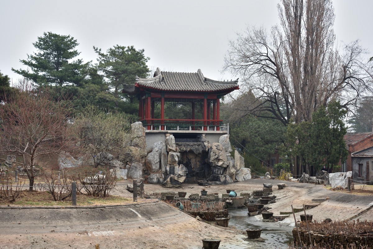 北京植物园南区温室看花   3/3