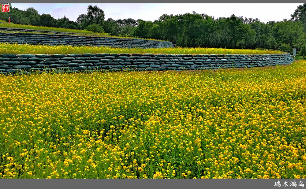 【印象北坞】层层梯田水映天空光