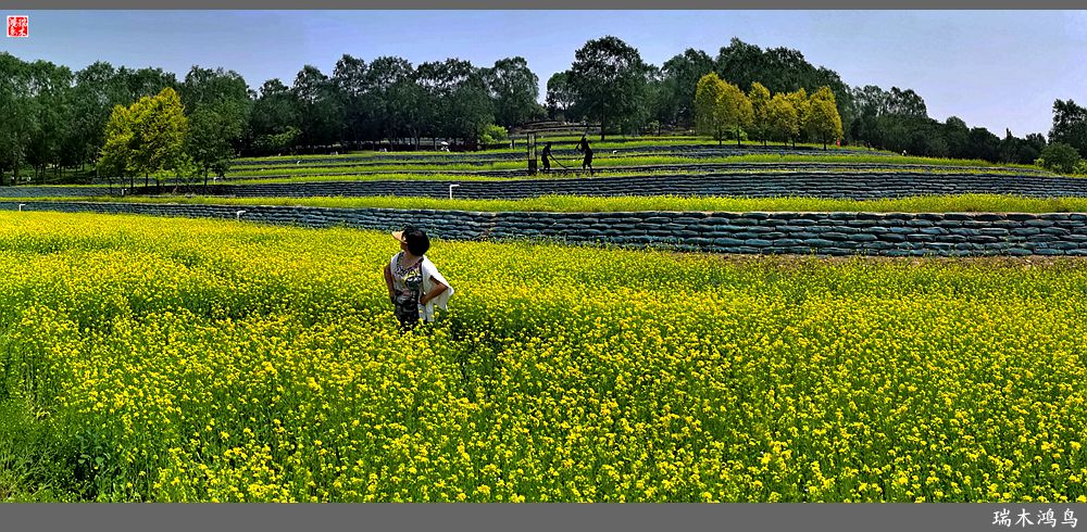 【印象北坞】层层梯田水映天空光