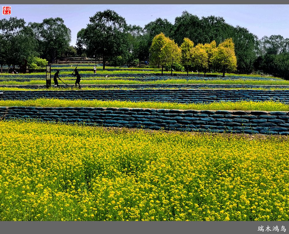 【印象北坞】层层梯田水映天空光