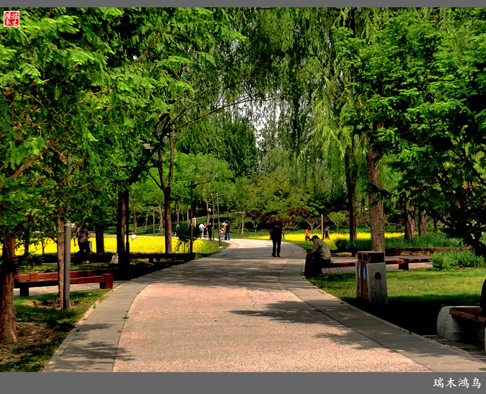 【印象北坞】层层梯田水映天空光