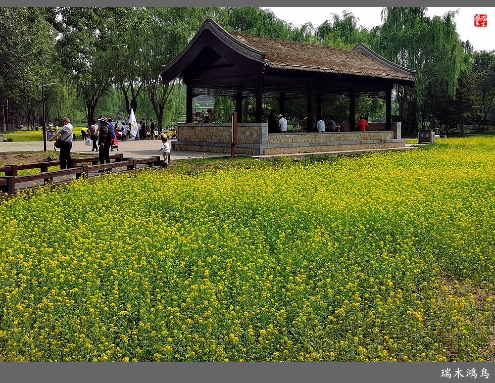 【印象北坞】层层梯田水映天空光
