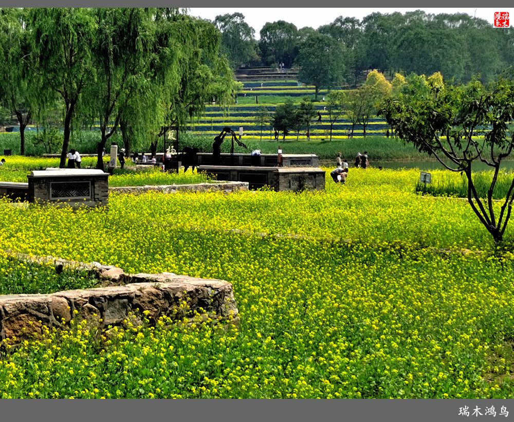 【印象北坞】层层梯田水映天空光