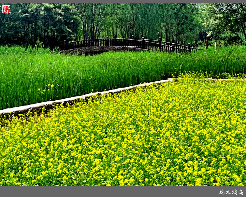 【印象北坞】层层梯田水映天空光