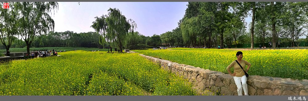 【印象北坞】层层梯田水映天空光
