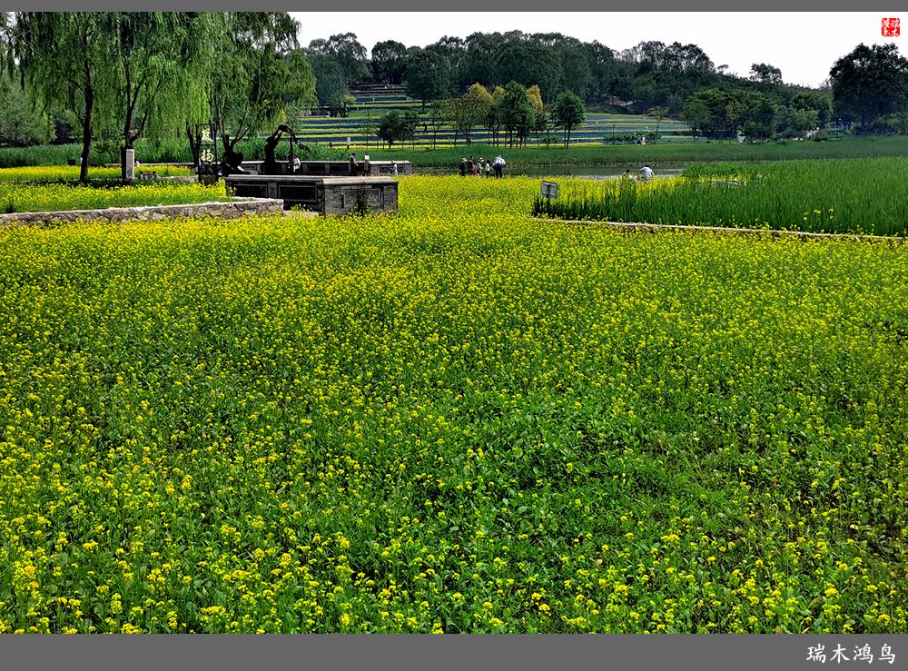 【印象北坞】层层梯田水映天空光