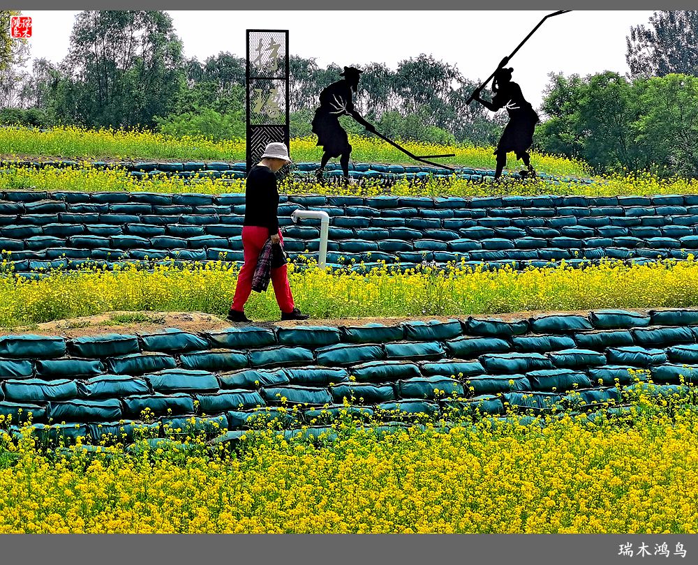 【印象北坞】层层梯田水映天空光