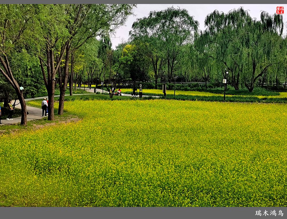 【印象北坞】层层梯田水映天空光