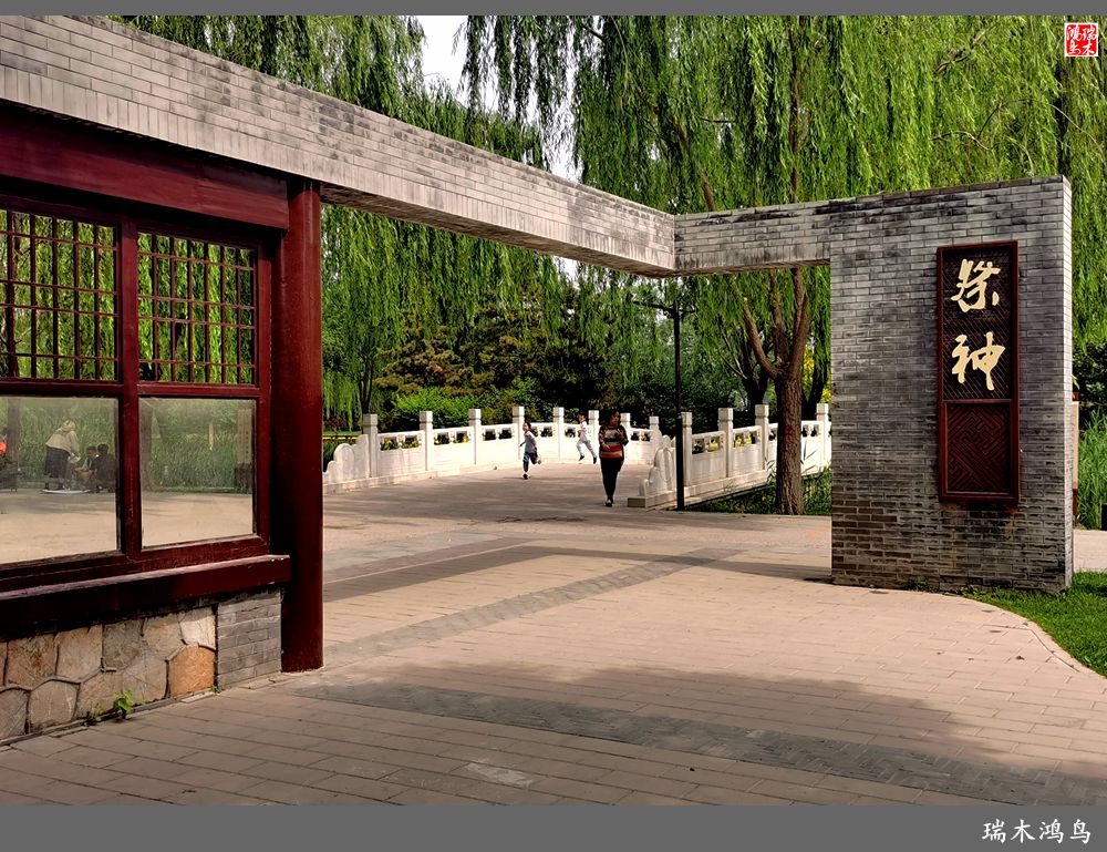 【印象北坞】层层梯田水映天空光