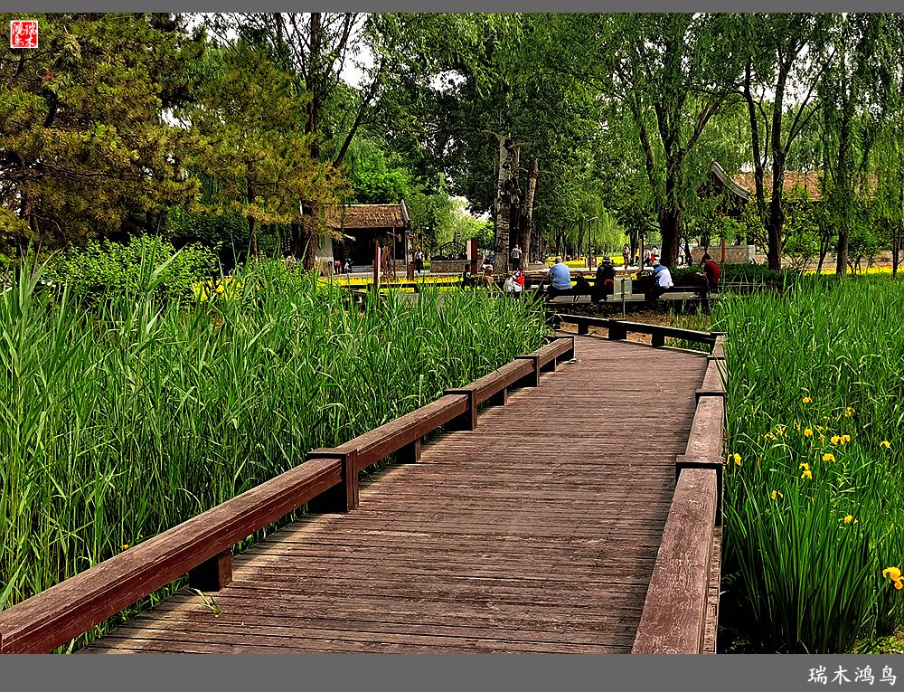 【印象北坞】层层梯田水映天空光