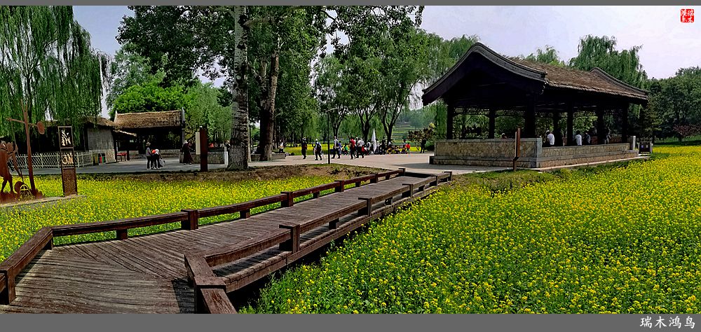 【印象北坞】层层梯田水映天空光