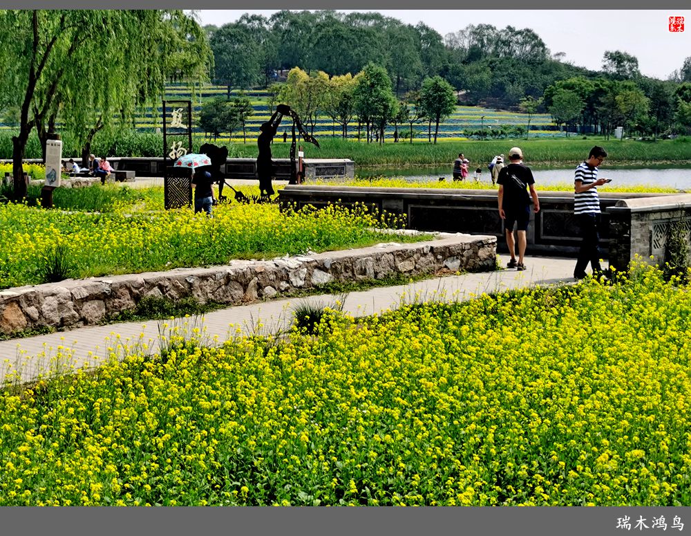 【印象北坞】层层梯田水映天空光