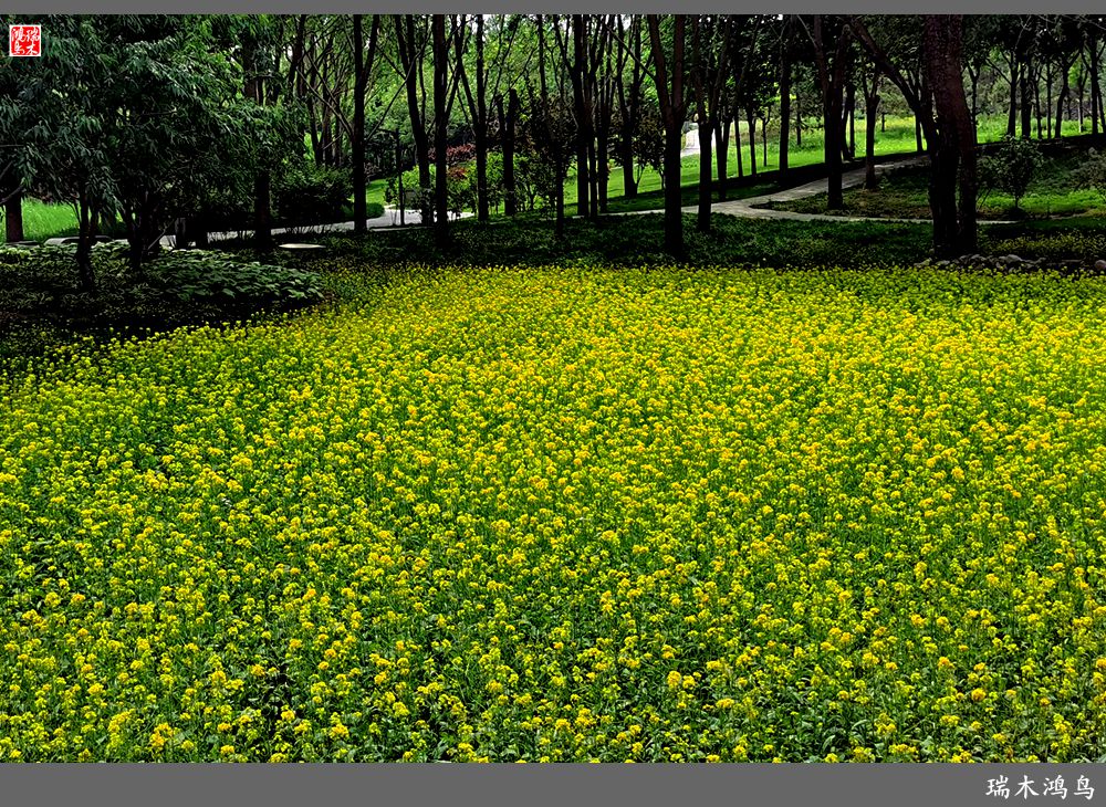 【印象北坞】层层梯田水映天空光