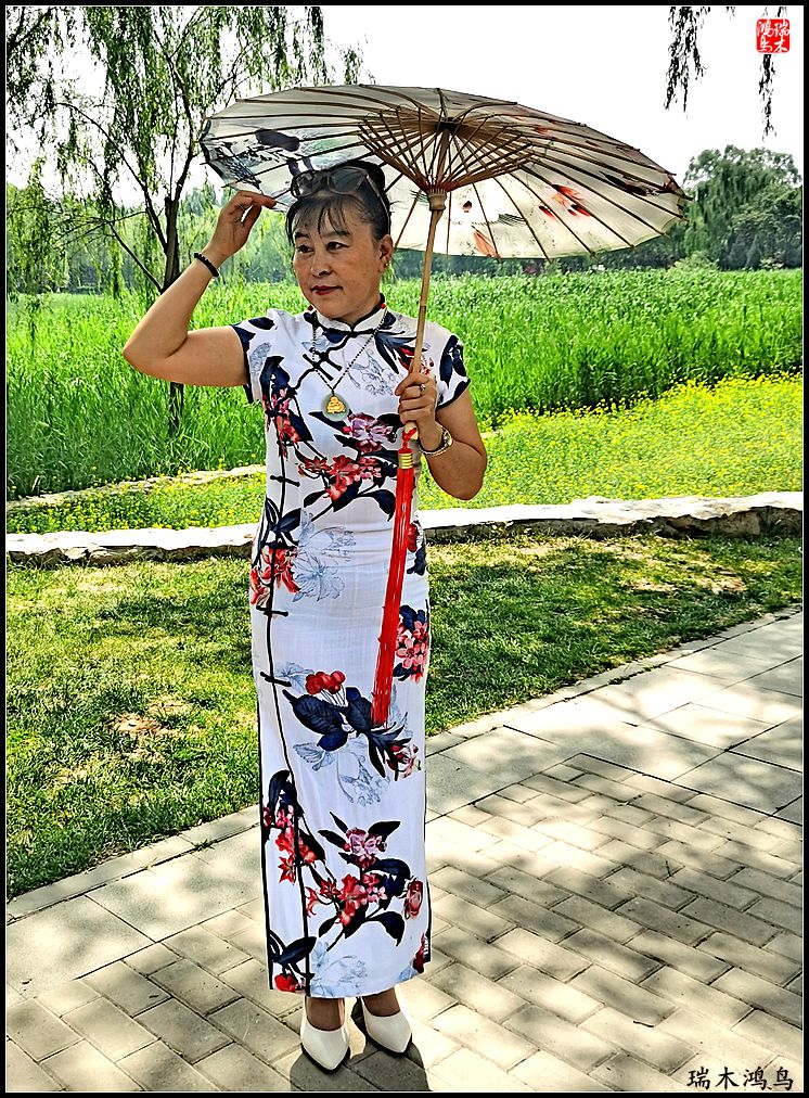 【印象北坞】层层梯田水映天空光