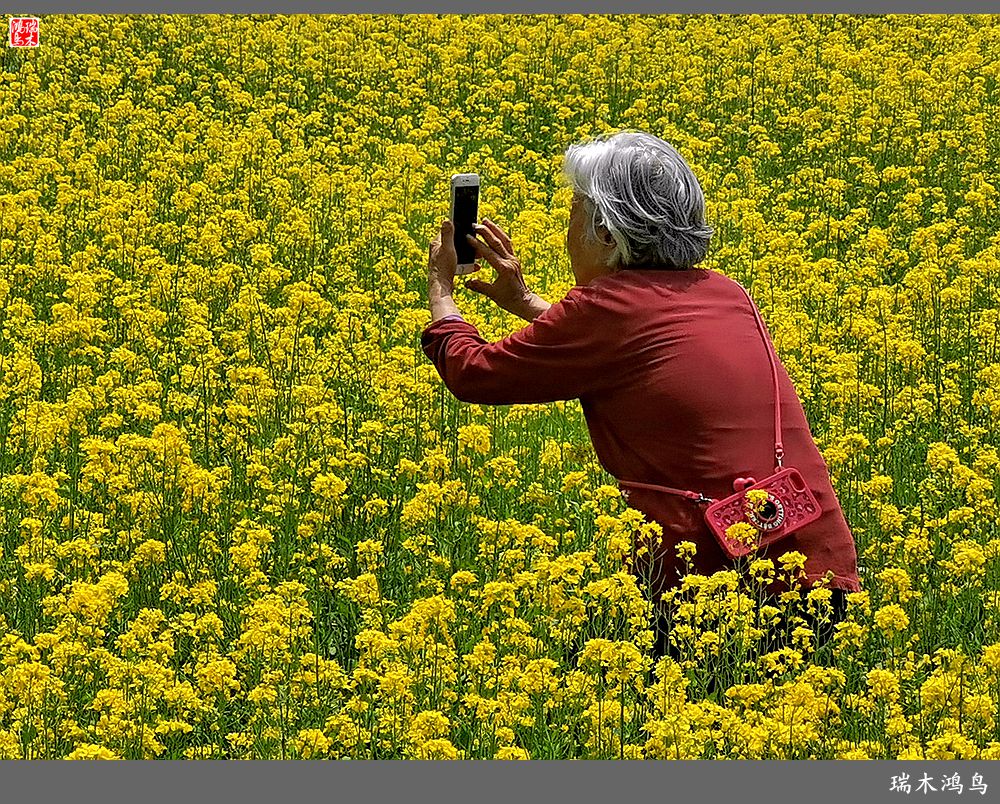 【印象北坞】层层梯田水映天空光