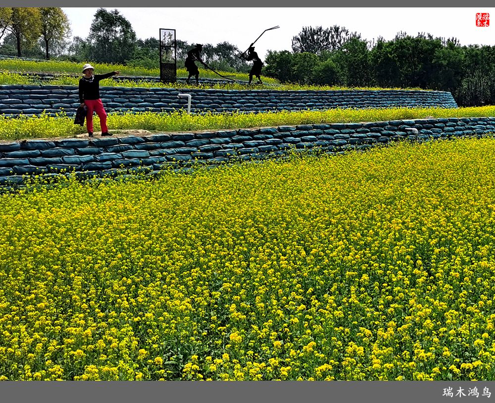 【印象北坞】层层梯田水映天空光