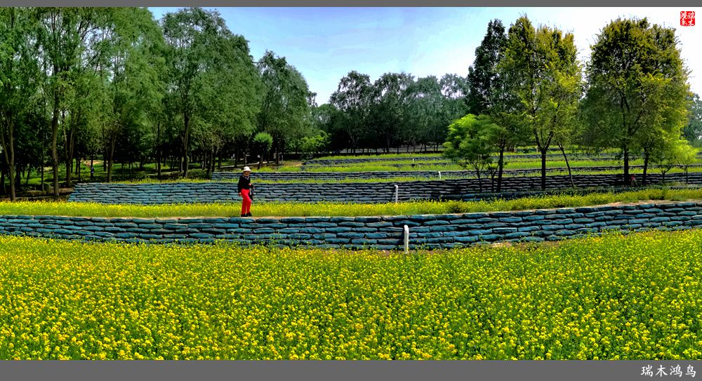 【印象北坞】层层梯田水映天空光