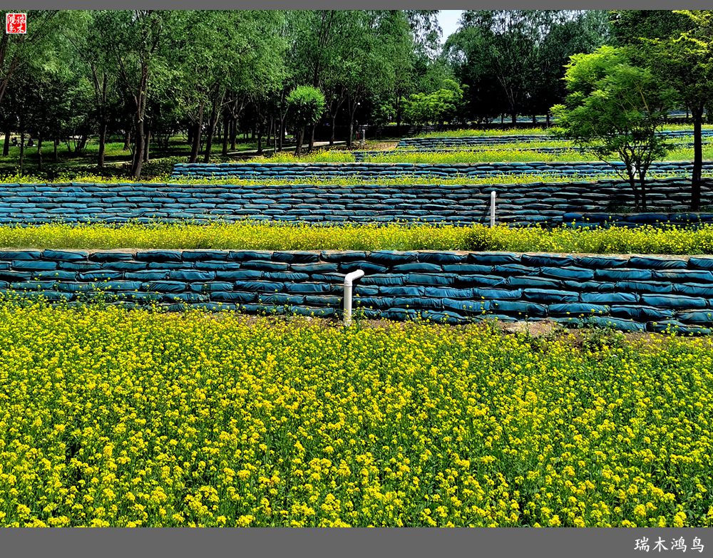 【印象北坞】层层梯田水映天空光