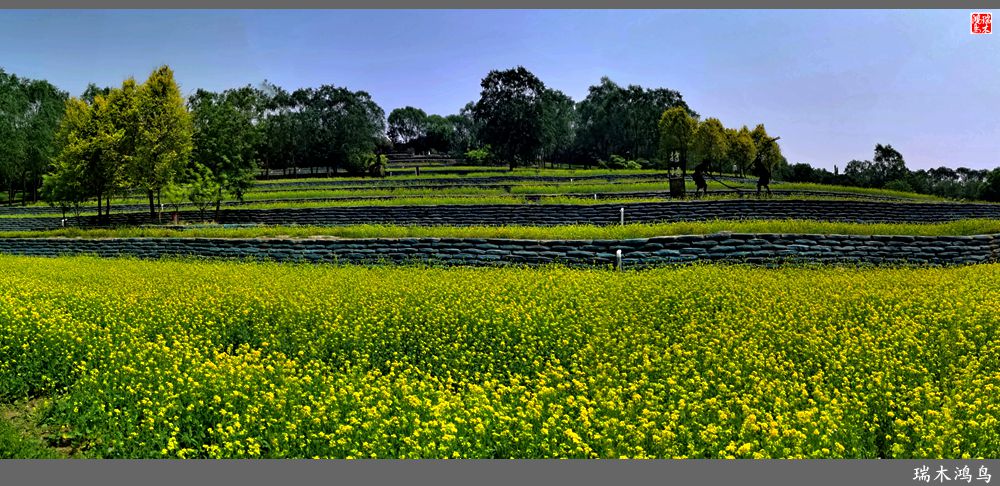【印象北坞】层层梯田水映天空光