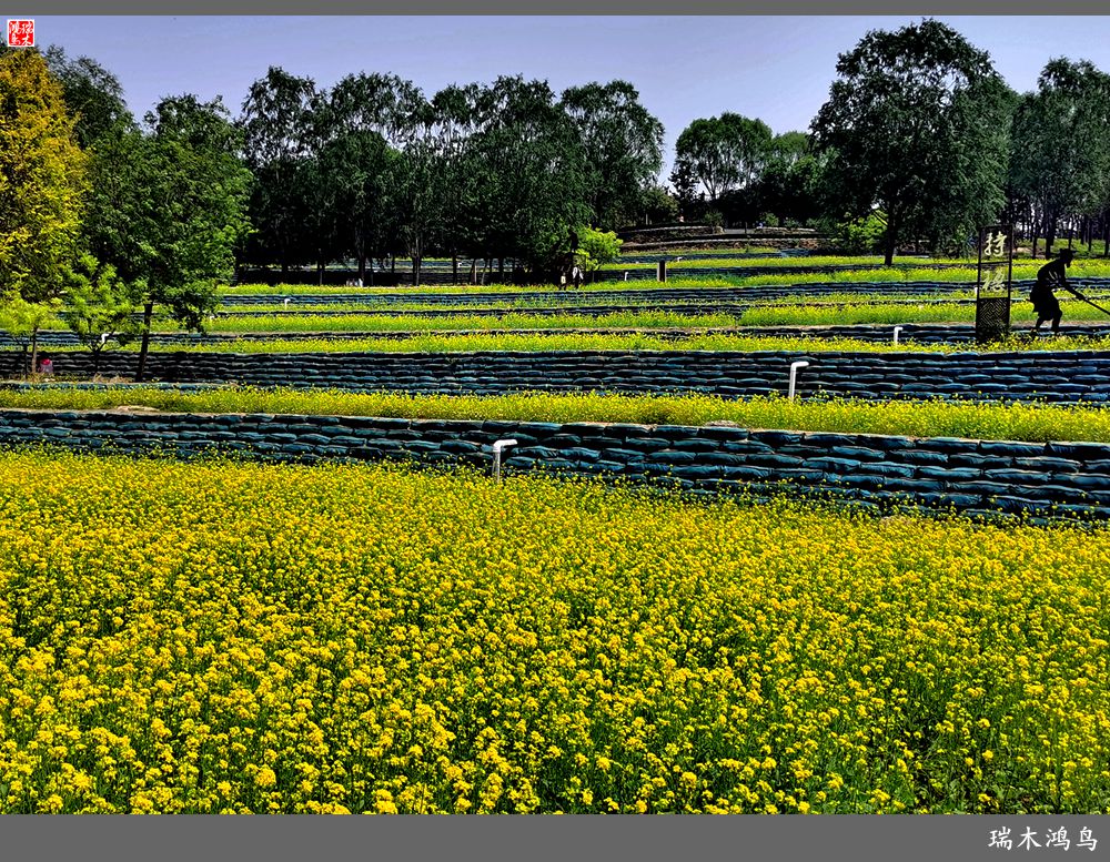 【印象北坞】层层梯田水映天空光