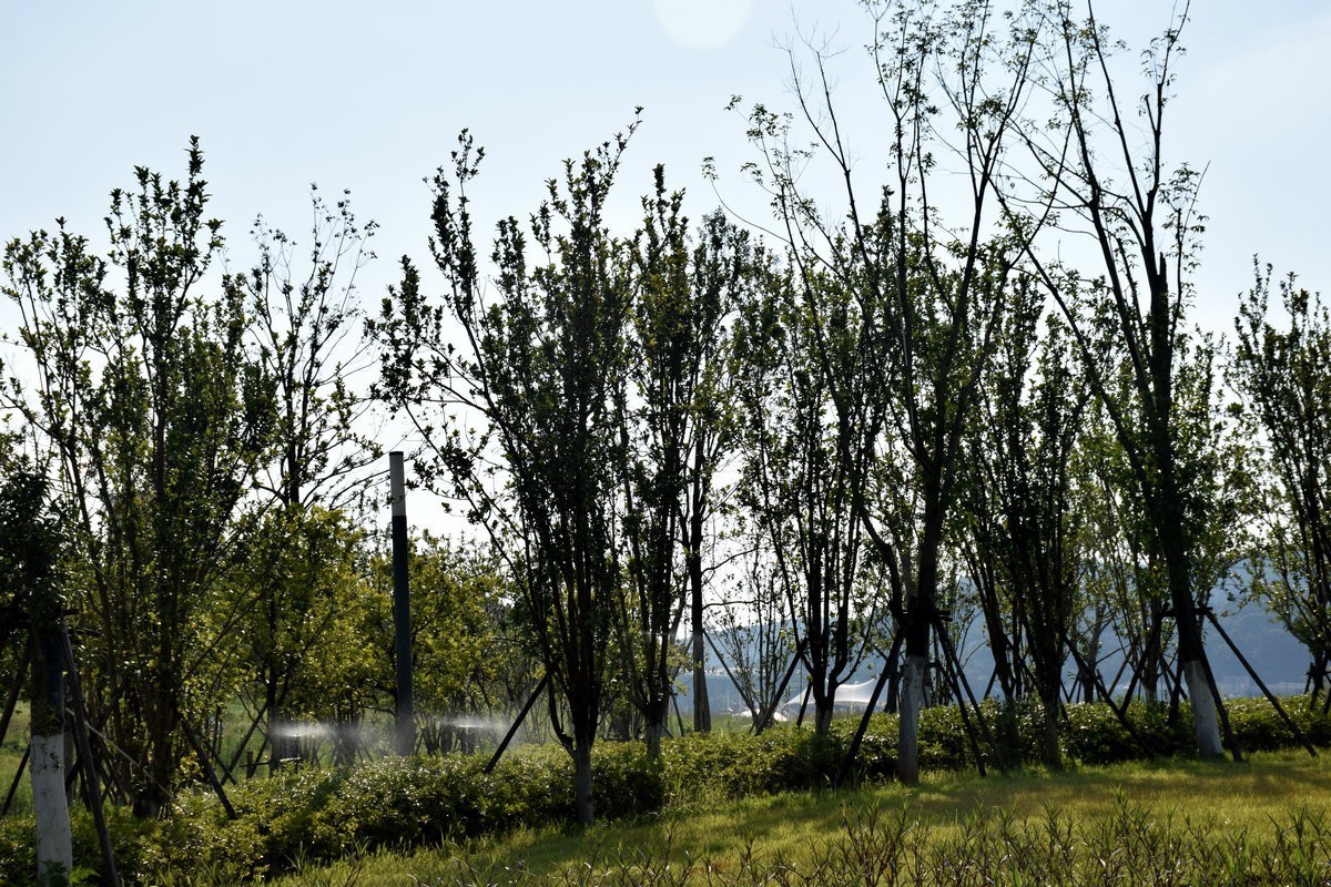 漫步星城 走街串巷（364）大王山展示中心