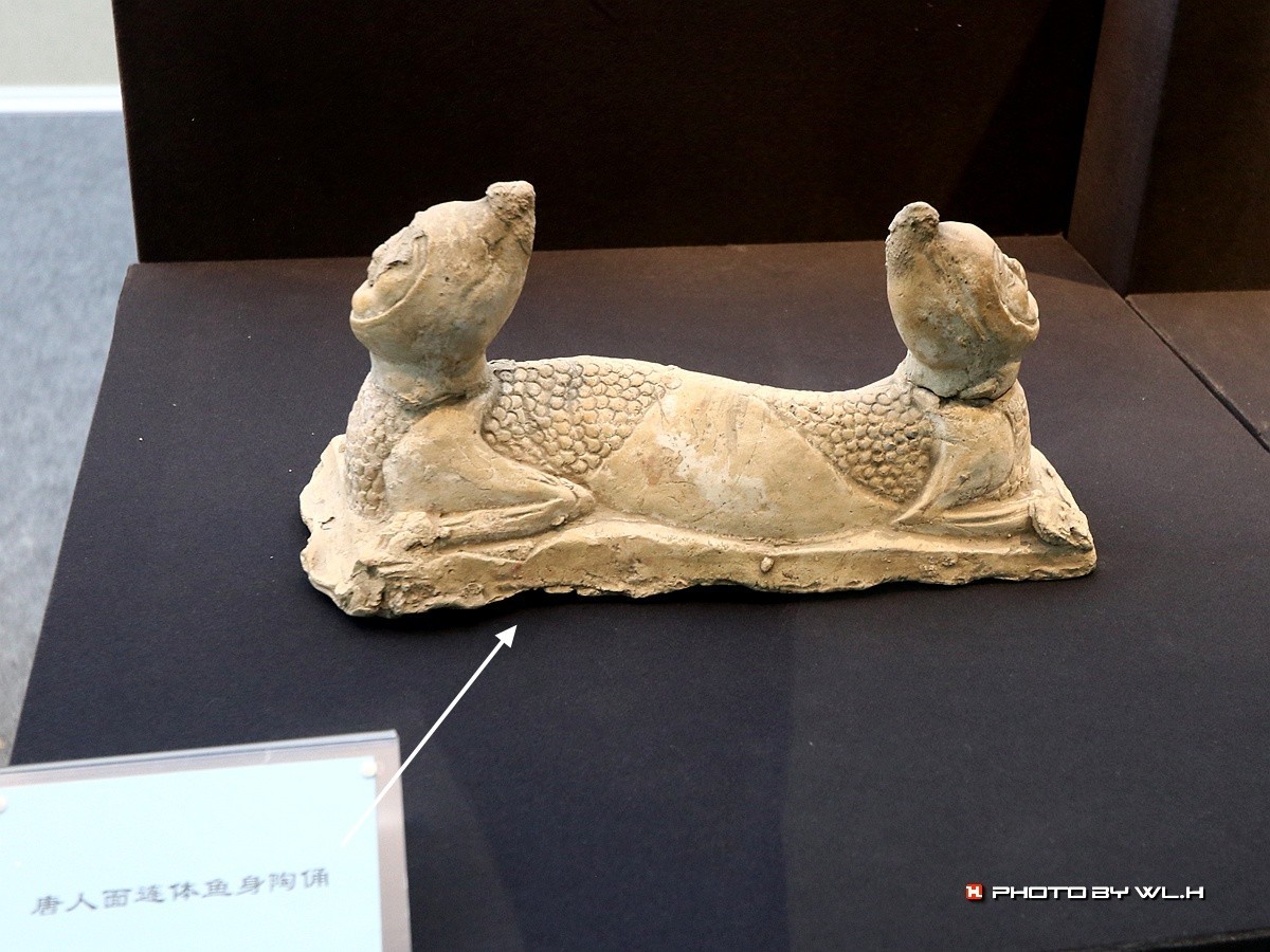 探访安阳博物馆，了解七朝古都历史-中关村在线摄影论坛
