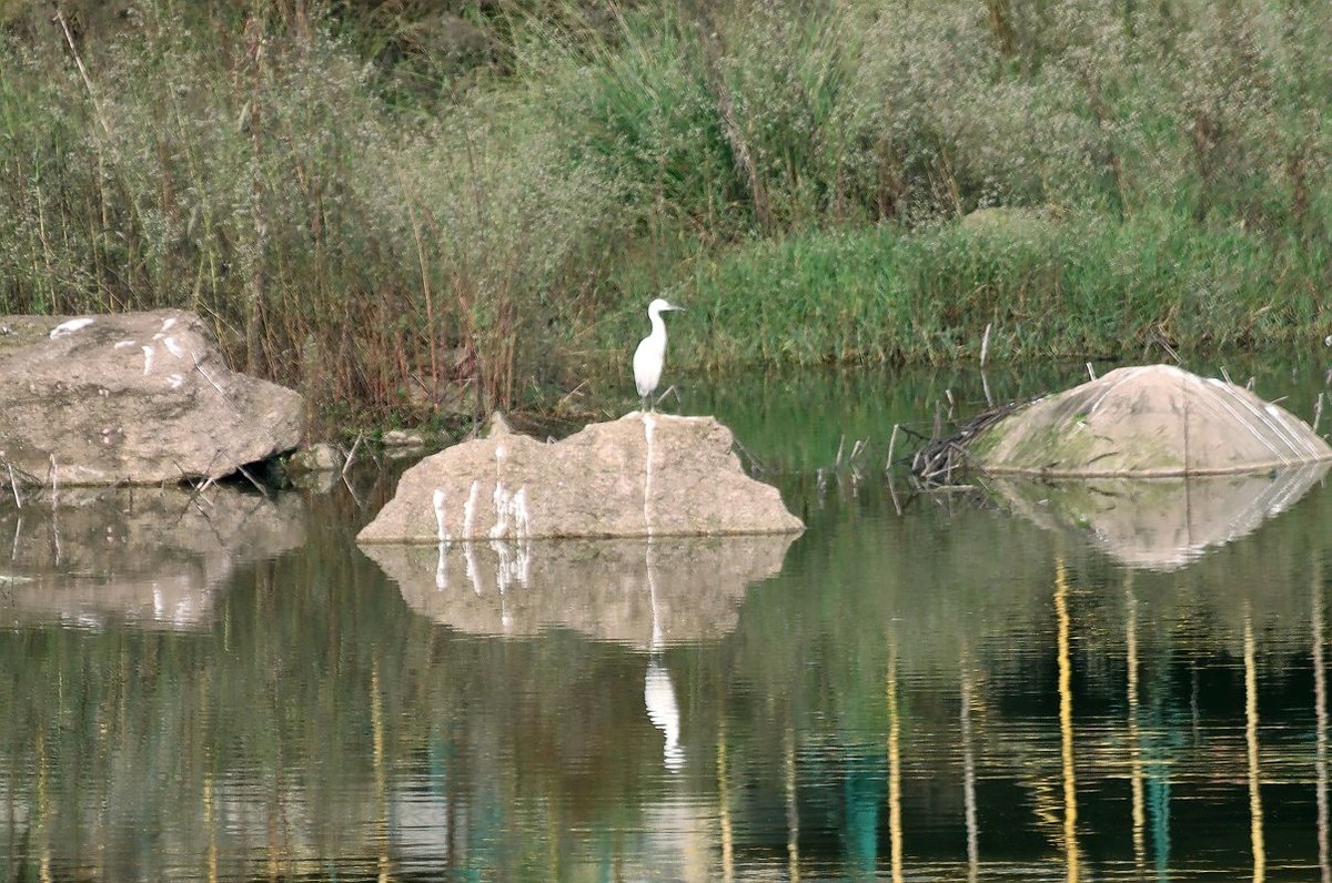 用了转接口的试机帖（二）