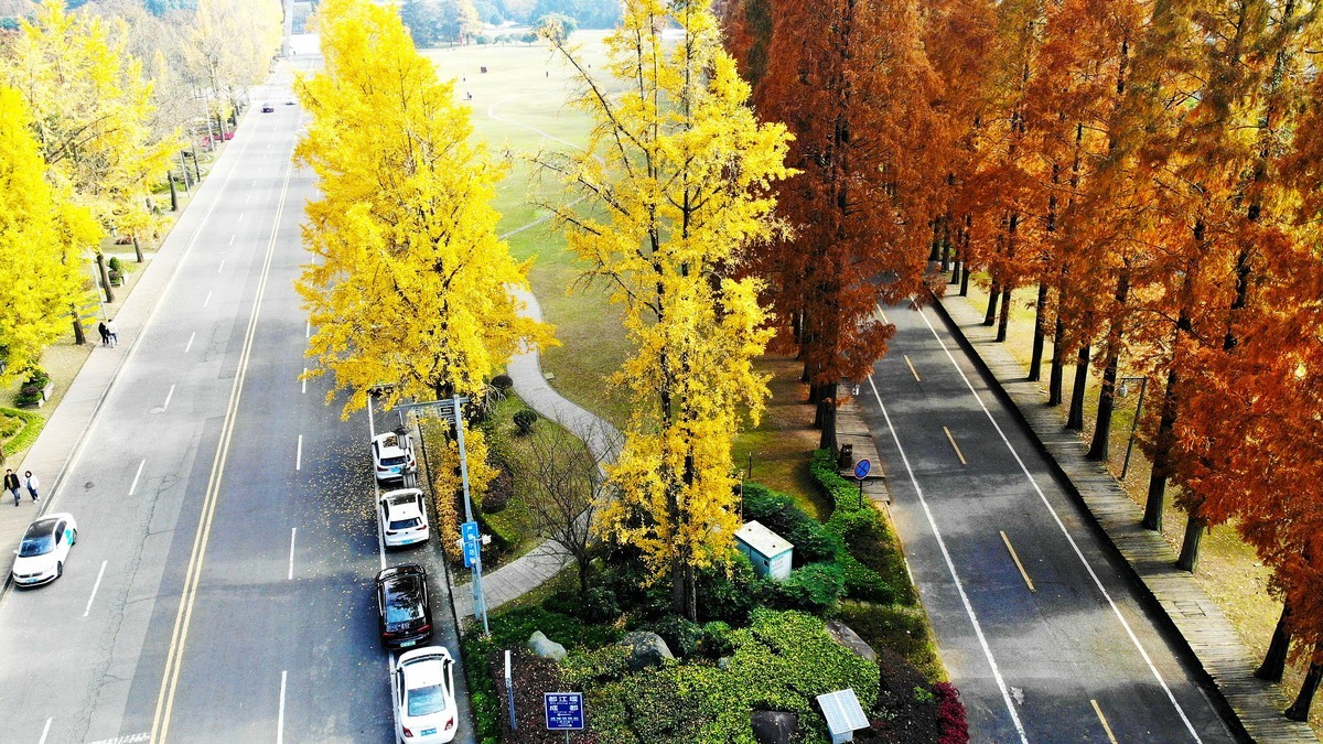 【航拍】红黄彩林印青城