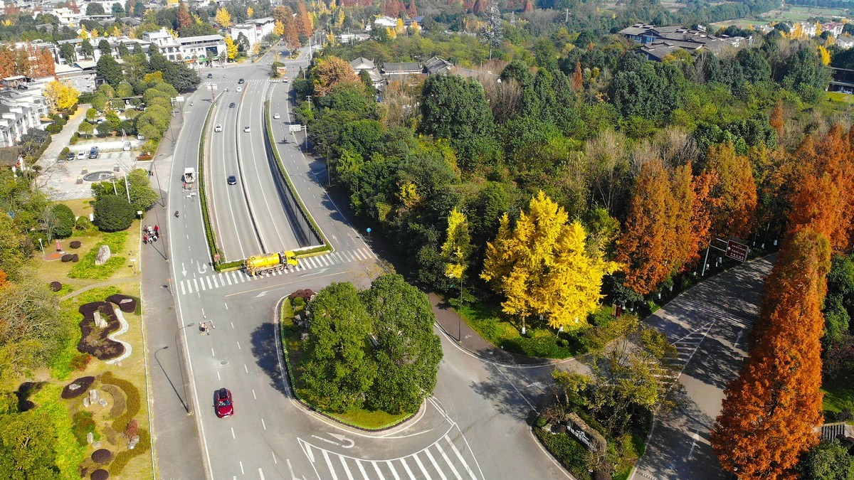 【航拍】红黄彩林印青城