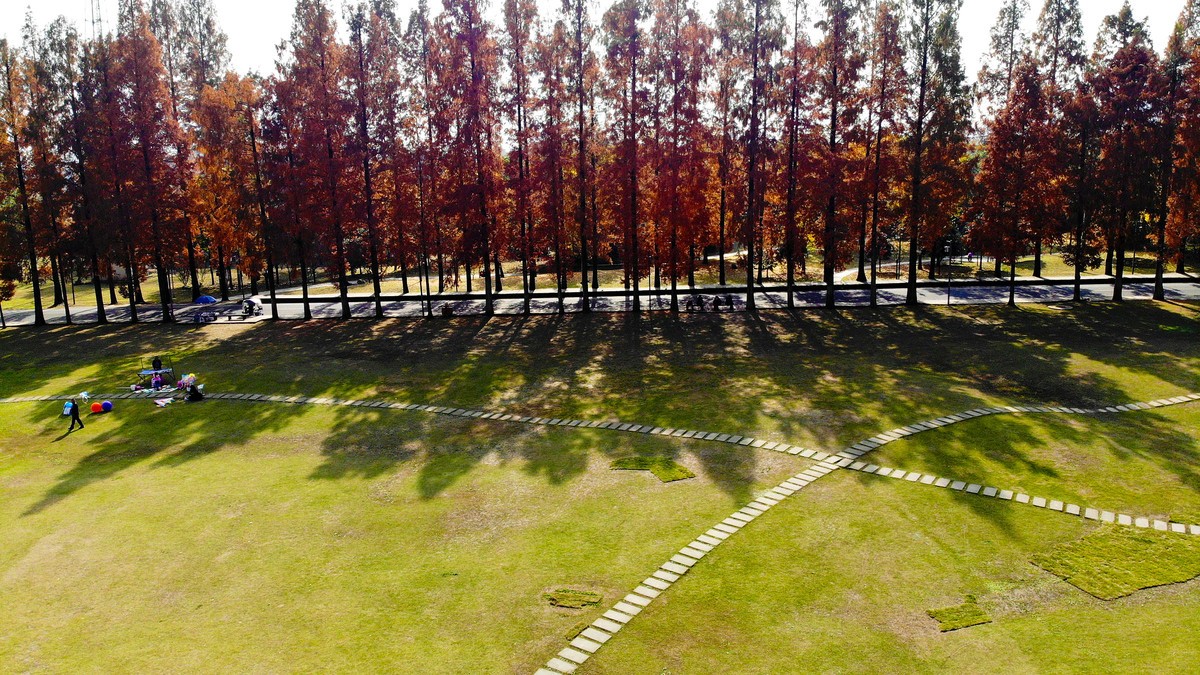 【航拍】红黄彩林印青城