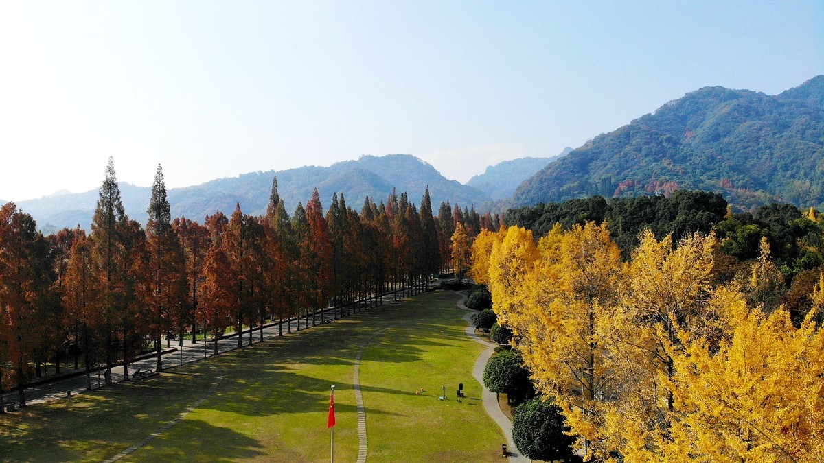 【航拍】红黄彩林印青城