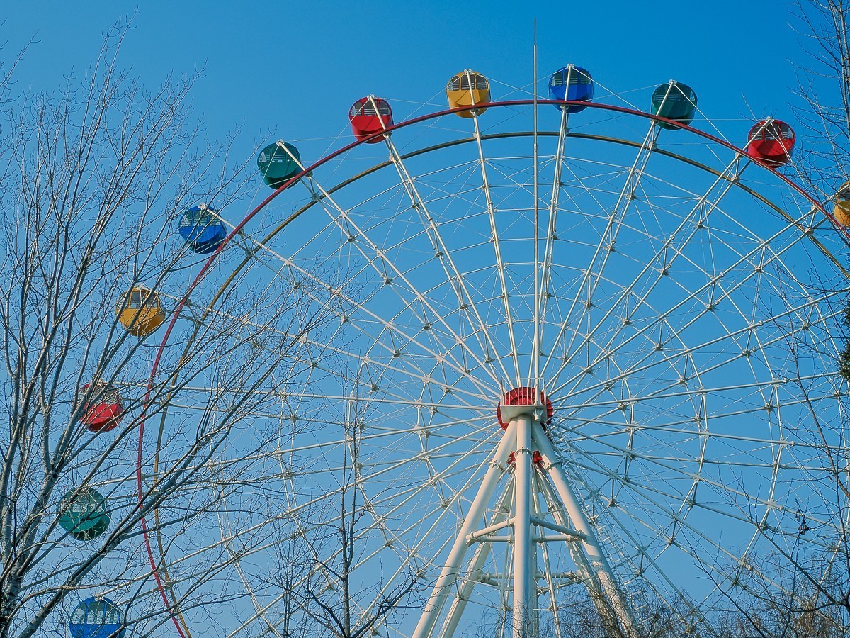 长寿花、腊梅、水边的石楠、摩天轮（OM-1Mark2第三次试拍）
