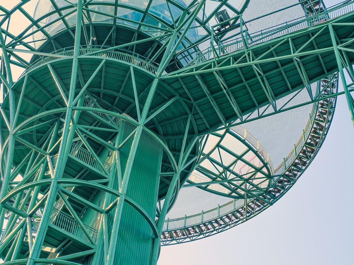 长寿花、腊梅、水边的石楠、摩天轮（OM-1Mark2第三次试拍）