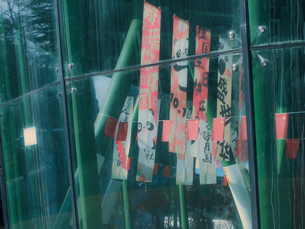 长寿花、腊梅、水边的石楠、摩天轮（OM-1Mark2第三次试拍）