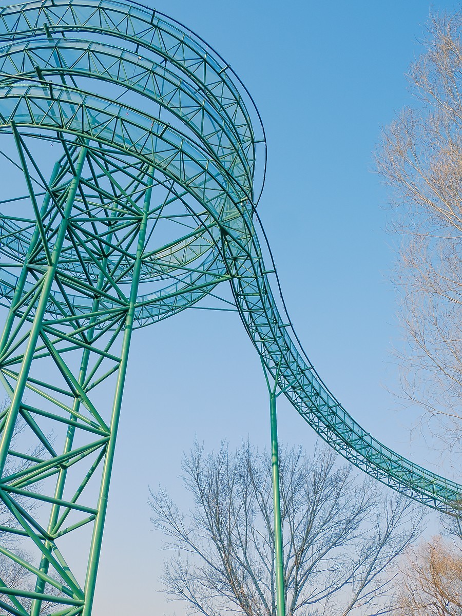 长寿花、腊梅、水边的石楠、摩天轮（OM-1Mark2第三次试拍）