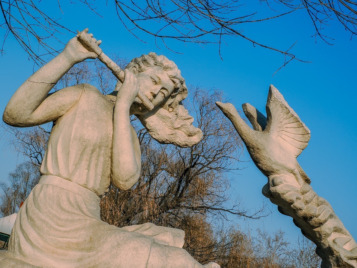 长寿花、腊梅、水边的石楠、摩天轮（OM-1Mark2第三次试拍）