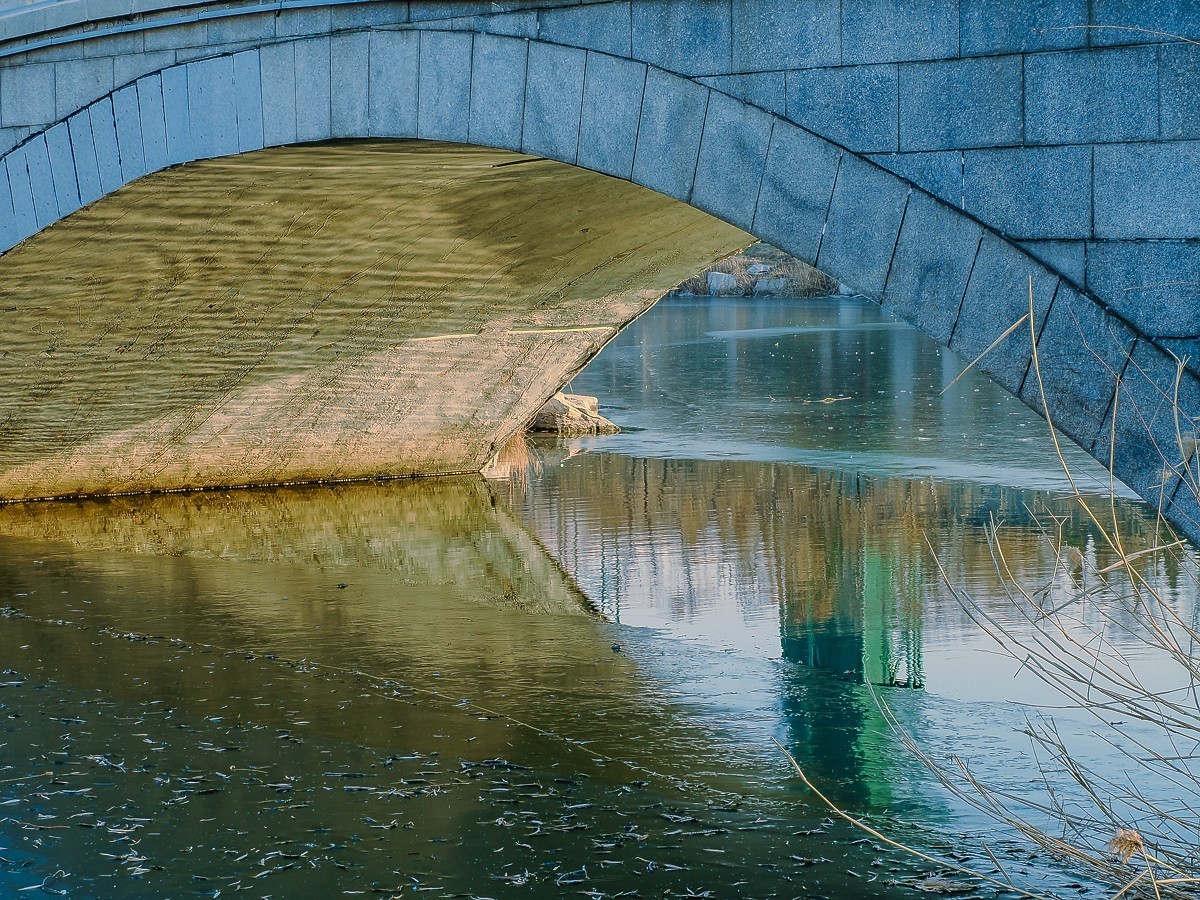 长寿花、腊梅、水边的石楠、摩天轮（OM-1Mark2第三次试拍）