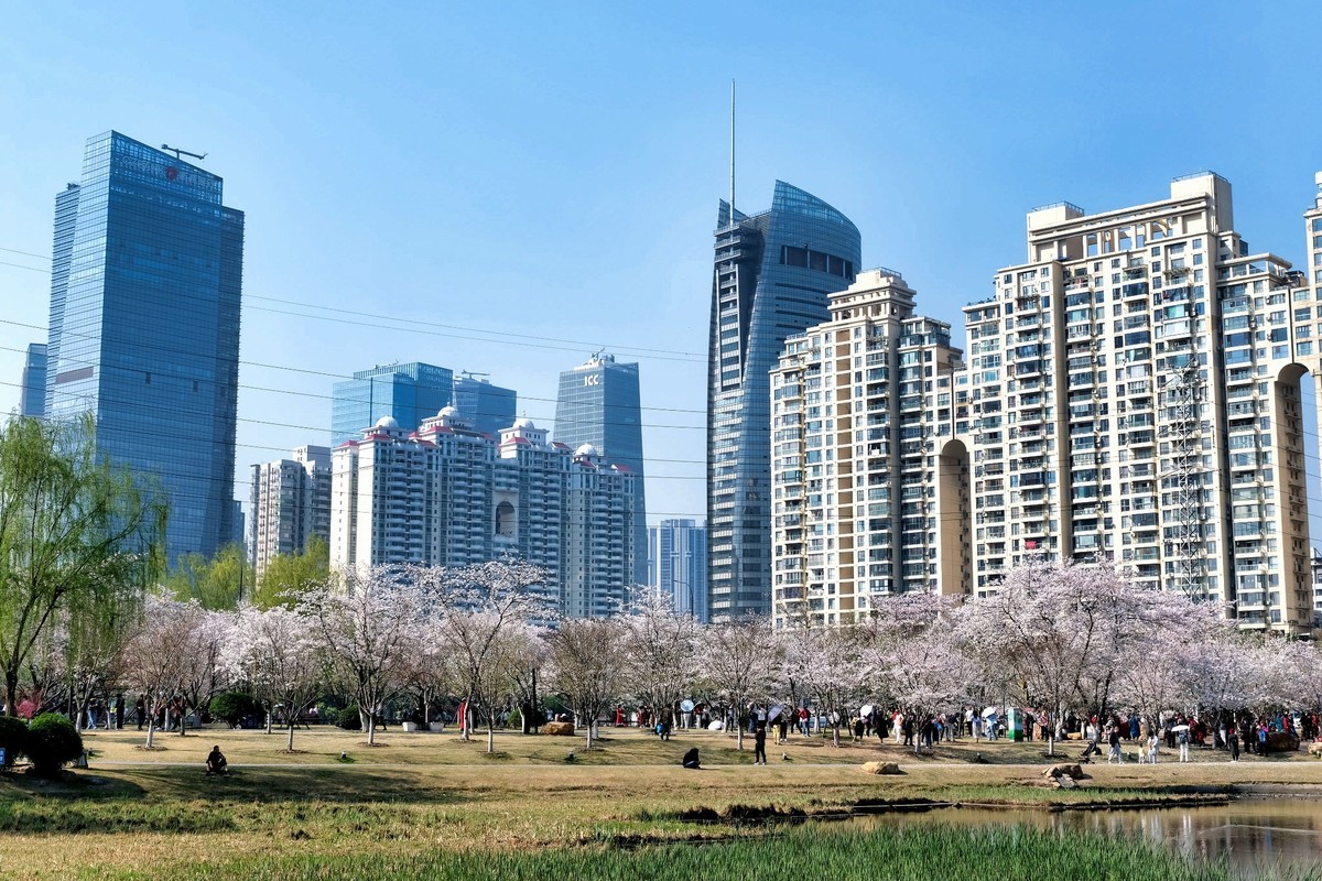 武汉市西北湖广场樱花季场景