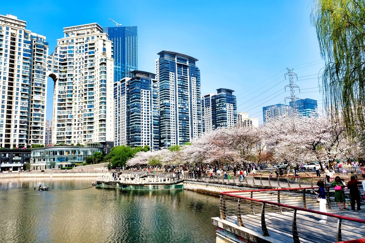 武汉市西北湖广场樱花季场景
