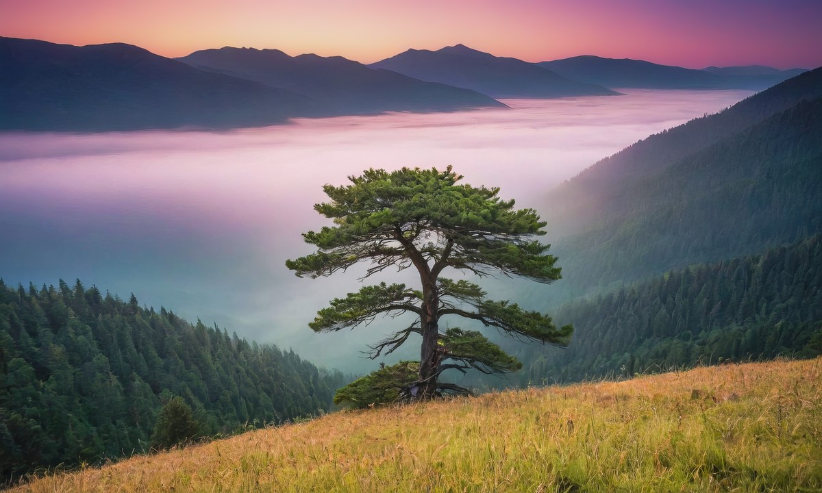 温暖心灵的日出之旅