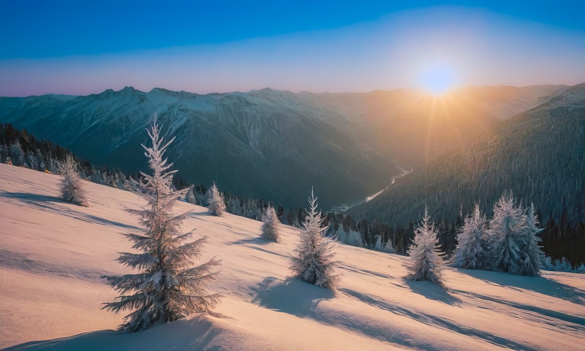 温暖心灵的日出之旅