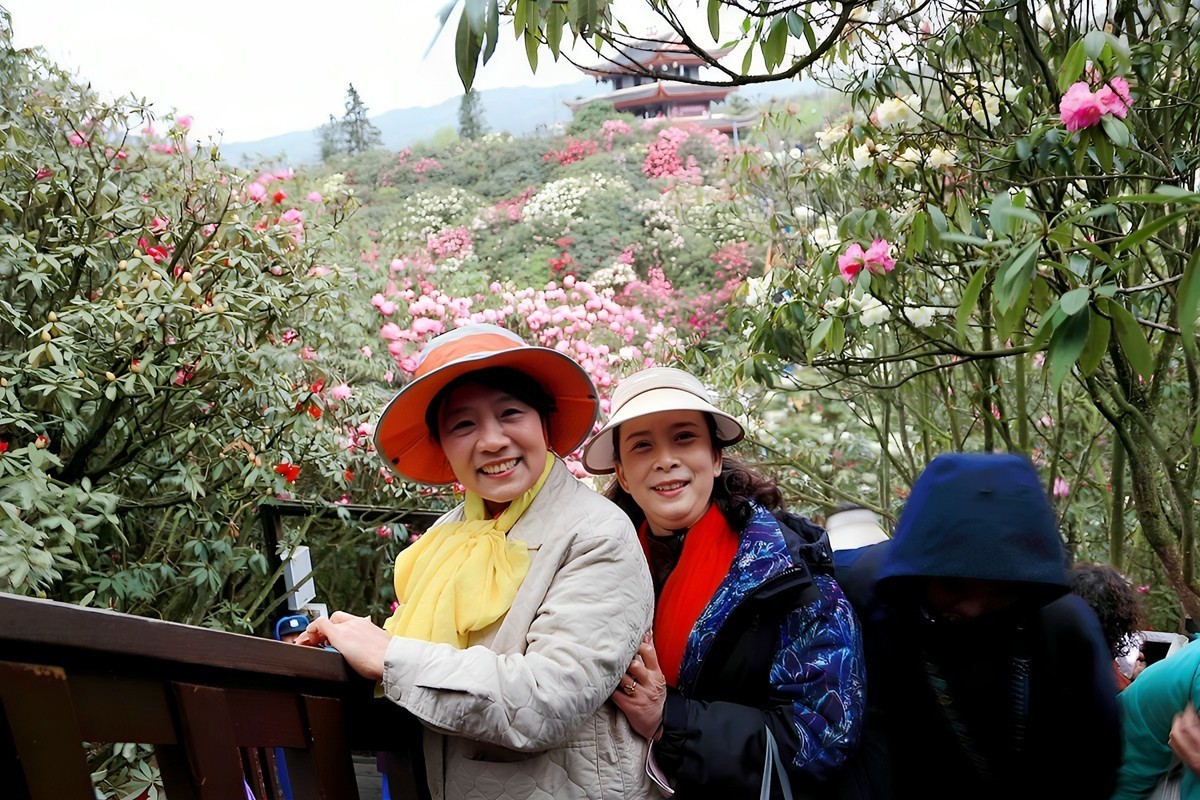 百里杜鹃拍游人