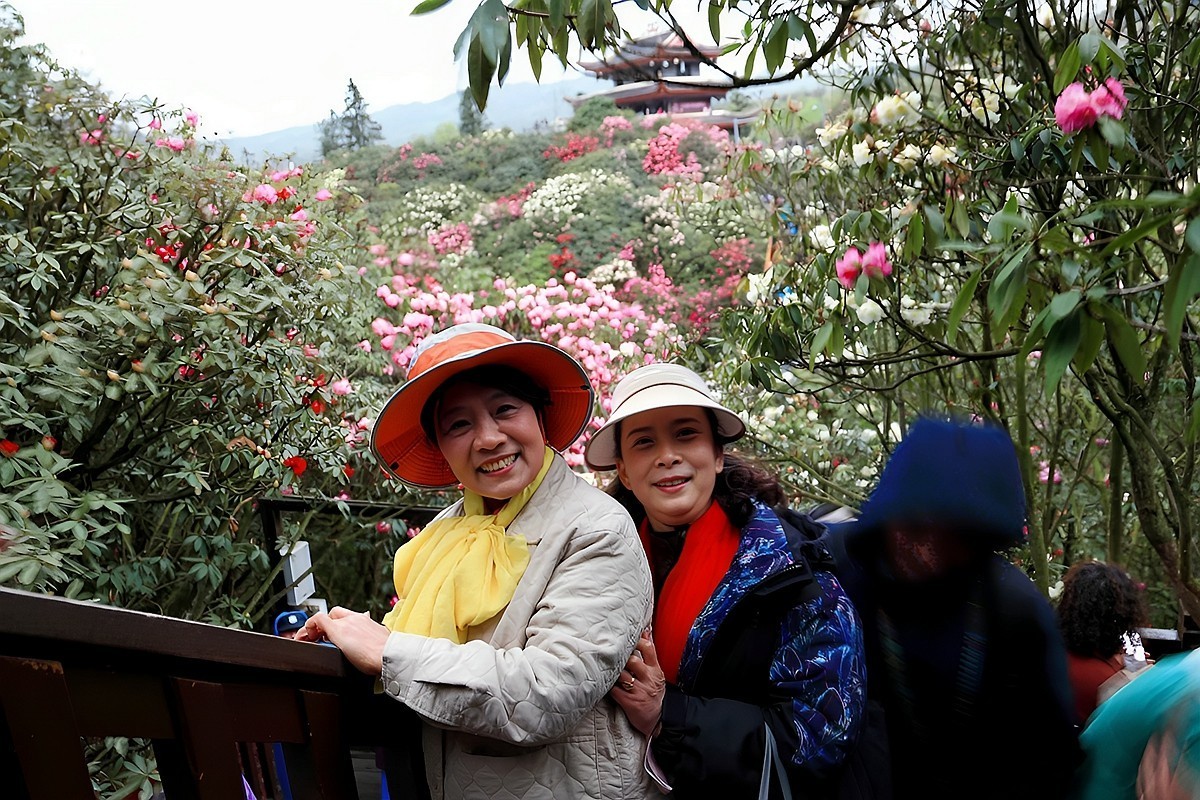 百里杜鹃拍游人