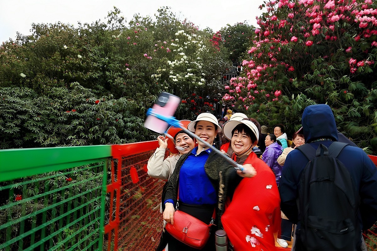 百里杜鹃拍游人
