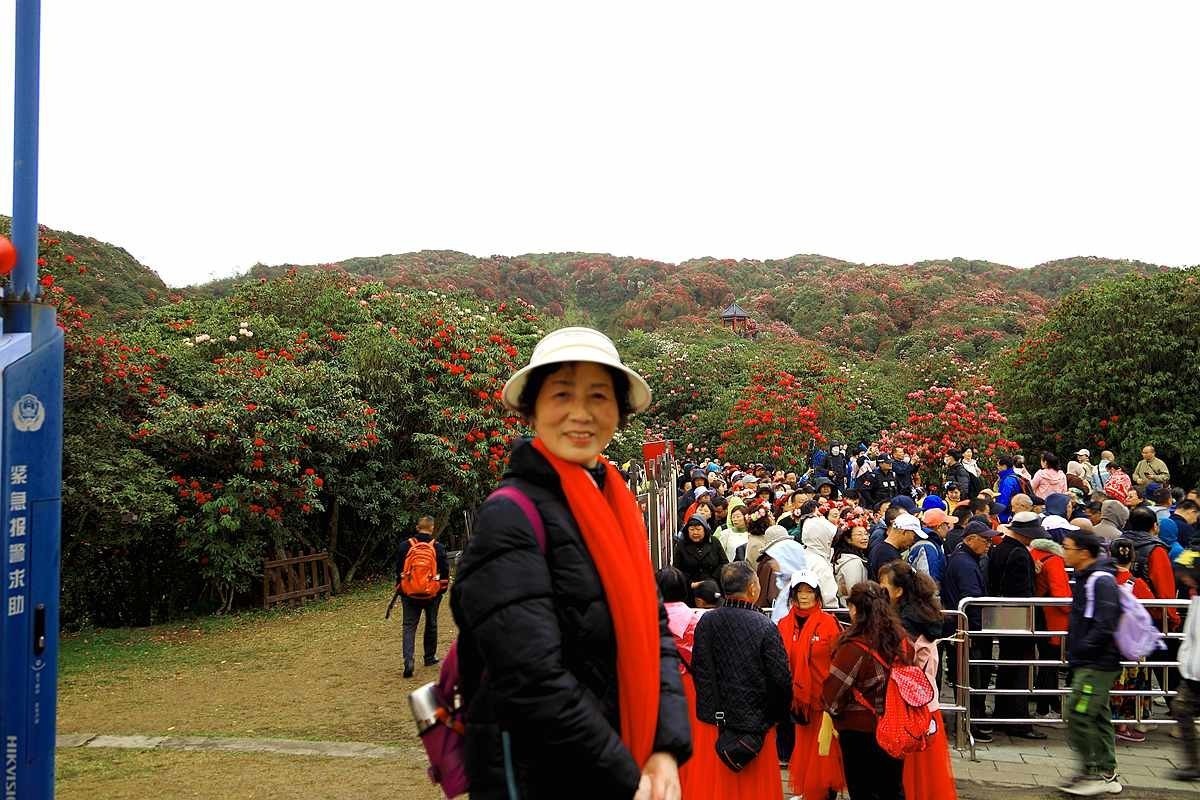 百里杜鹃拍游人